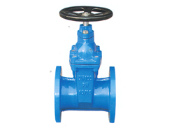 The RVHX/Z45X - 16 dark bar resilient seated gate valve