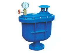 CAPX compound exhaust valve