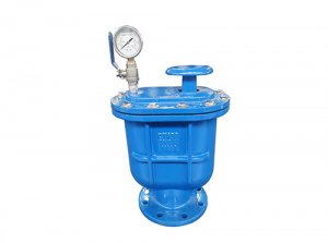 CAPX复合式排气阀