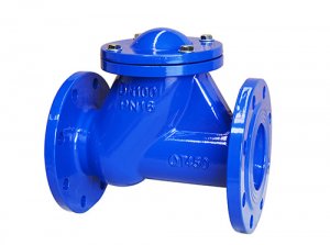 HQ41X滑道滚球式止回阀