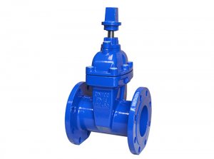 RVCY/SZ45X-16饮用水地下弹性座封闸阀