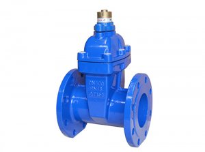 磁性软密封闸阀